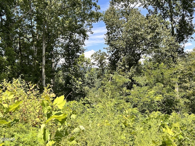2LOTS Loop Rd, Gatlinburg, TN 37738 - photo 1