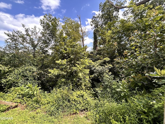 2LOTS Loop Rd, Gatlinburg, TN 37738 - photo 2