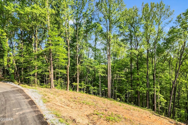 LOT27 Sugar Maple Loop Rd, Sevierville, TN 37862