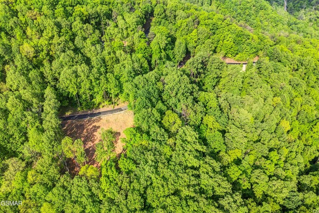 LOT27 Sugar Maple Loop Rd, Sevierville, TN 37862