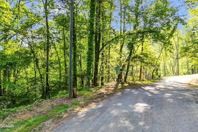 LOT27 Sugar Maple Loop Rd, Sevierville, TN 37862