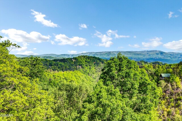 LOT27 Sugar Maple Loop Rd, Sevierville, TN 37862