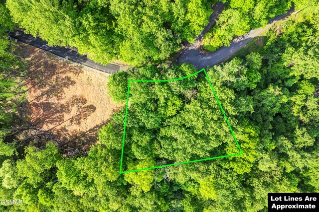 LOT27 Sugar Maple Loop Rd, Sevierville, TN 37862