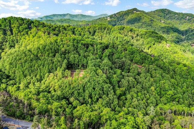 LOT27 Sugar Maple Loop Rd, Sevierville, TN 37862