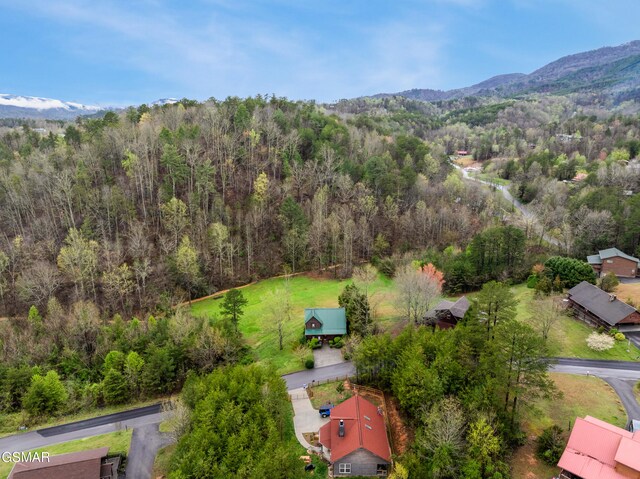 aerial view with a mountain view and a view of trees