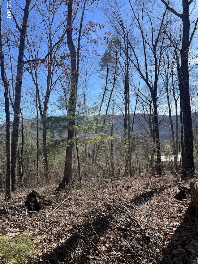 1012 Country Mountain Rd, Cosby TN, 37722 land for sale