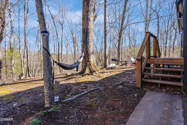 2760 Hawks View Trl, Pigeon Forge, TN 37876 - view of yard featuring stairs