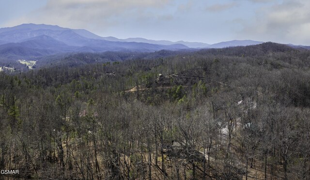 2760 Hawks View Trl, Pigeon Forge, TN 37876 - mountain view with a forest