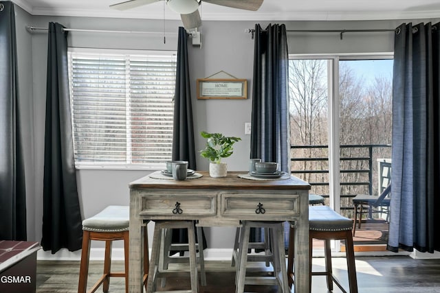 dining room featuring ceiling fan, dark wood-type flooring, a wealth of natural light, and crown molding