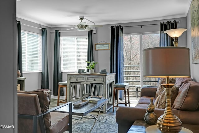 living room featuring ceiling fan, crown molding, and hardwood / wood-style floors