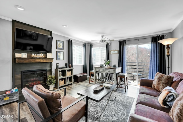 living room with ceiling fan, ornamental molding, a fireplace, and hardwood / wood-style flooring