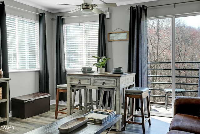 living area with a wealth of natural light, ornamental molding, hardwood / wood-style floors, and ceiling fan