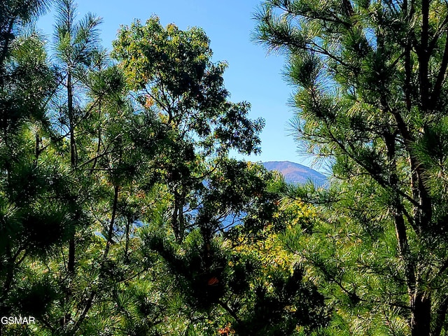 view of nature featuring a mountain view