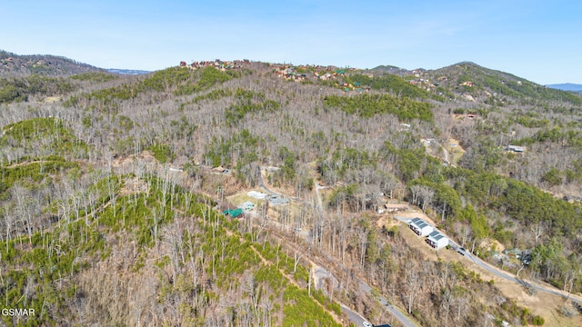 aerial view with a mountain view