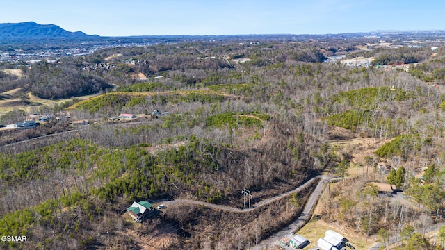 bird's eye view featuring a mountain view