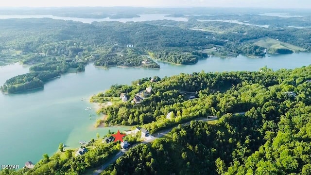 LOT31 Waterfront Way, Sevierville, TN 37876 - photo 9