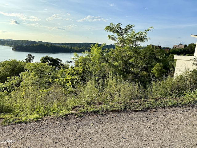 LOT31 Waterfront Way, Sevierville, TN 37876 - photo 2