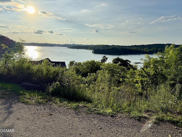 LOT31 Waterfront Way, Sevierville, TN 37876 - photo 3