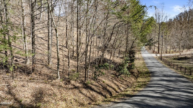 272 Cove Hollow Rd, Cosby, TN 37722