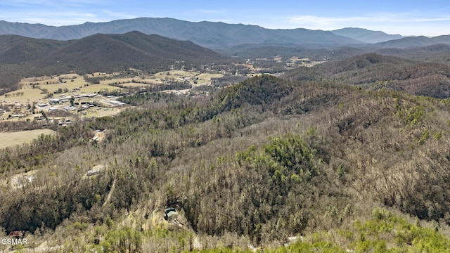 272 Cove Hollow Rd, Cosby, TN 37722