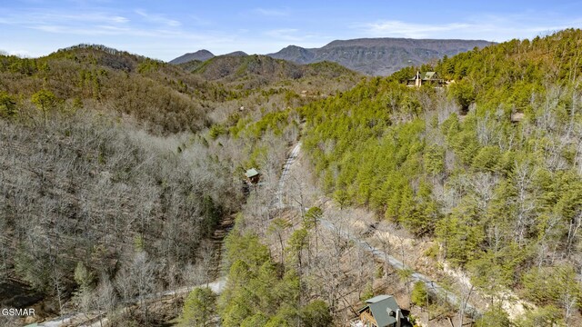 272 Cove Hollow Rd, Cosby, TN 37722