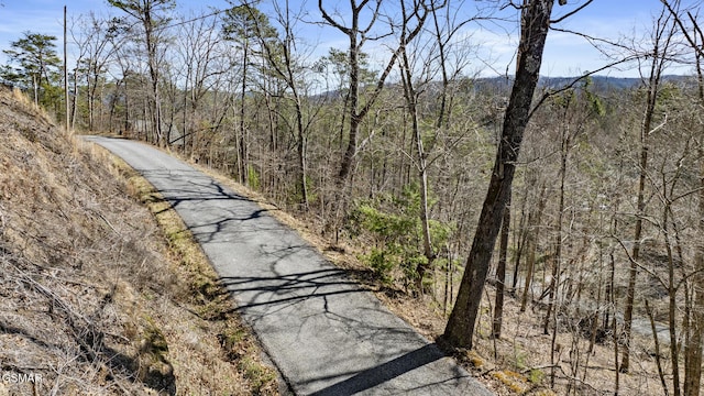 272 Cove Hollow Rd, Cosby, TN 37722
