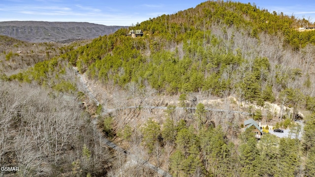272 Cove Hollow Rd, Cosby, TN 37722