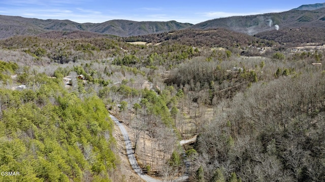 272 Cove Hollow Rd, Cosby, TN 37722