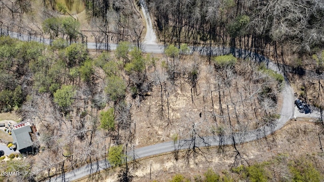272 Cove Hollow Rd, Cosby, TN 37722