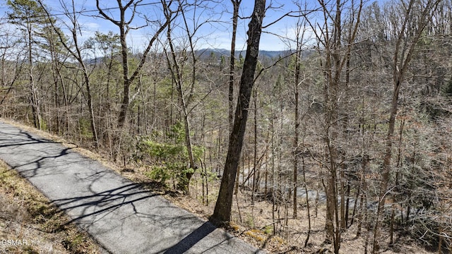 272 Cove Hollow Rd, Cosby, TN 37722
