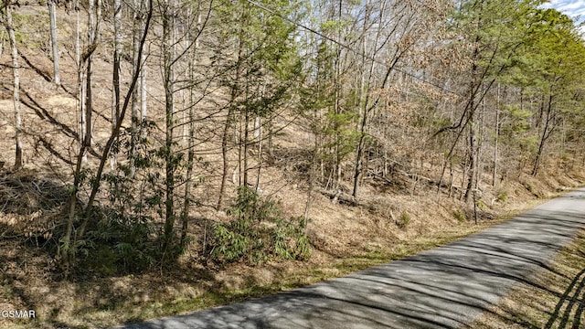 272 Cove Hollow Rd, Cosby, TN 37722