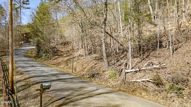 272 Cove Hollow Rd, Cosby, TN 37722