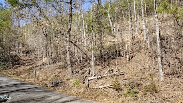 272 Cove Hollow Rd, Cosby, TN 37722