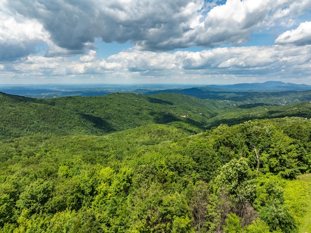 view of mountain feature