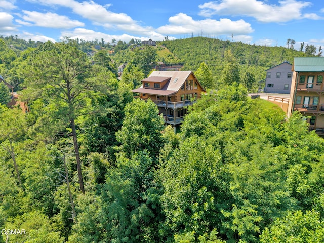 710 Pinecrest Ct, Gatlinburg, TN 37738 - photo 70