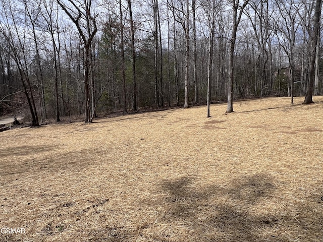 view of landscape with a wooded view