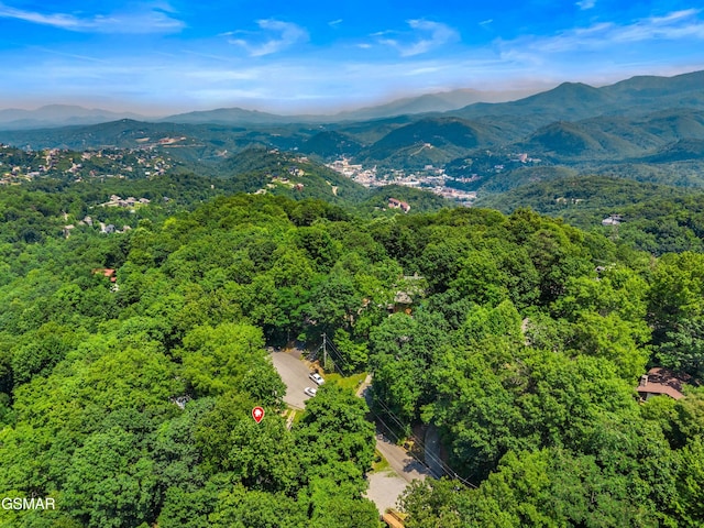 1439 N Arbon Ln, Gatlinburg, TN 37738 - photo 17