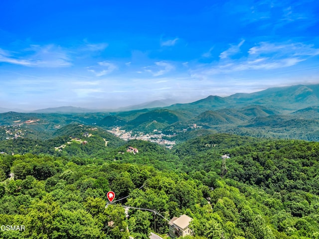1439 N Arbon Ln, Gatlinburg, TN 37738 - photo 18