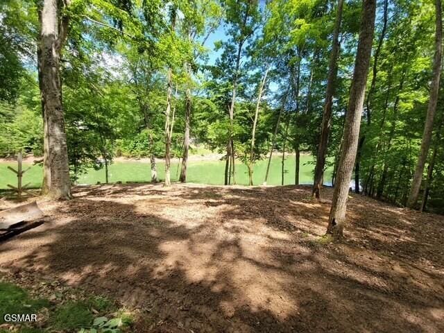 1450 Old Chisholm Trl, Dandridge, TN 37725