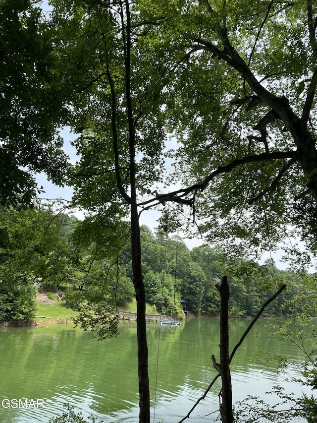 1450 Old Chisholm Trl, Dandridge, TN 37725