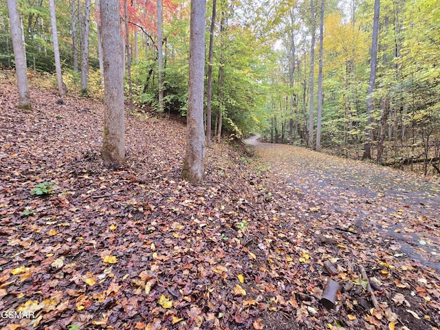 0 Cara Way, Cosby, TN 37722