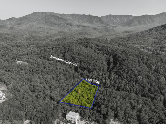 0 Cara Way, Cosby, TN 37722