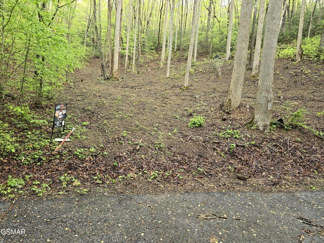 0 Cara Way, Cosby, TN 37722