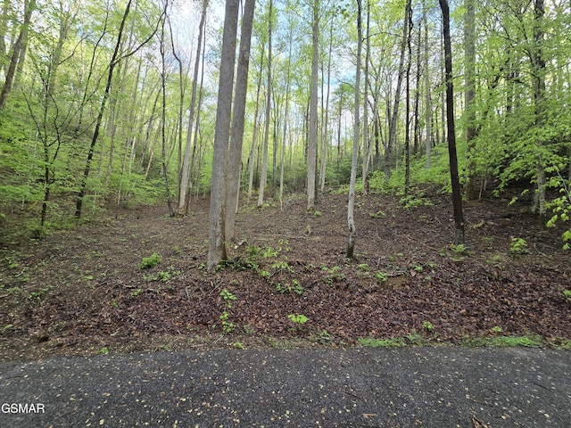 0 Cara Way, Cosby, TN 37722