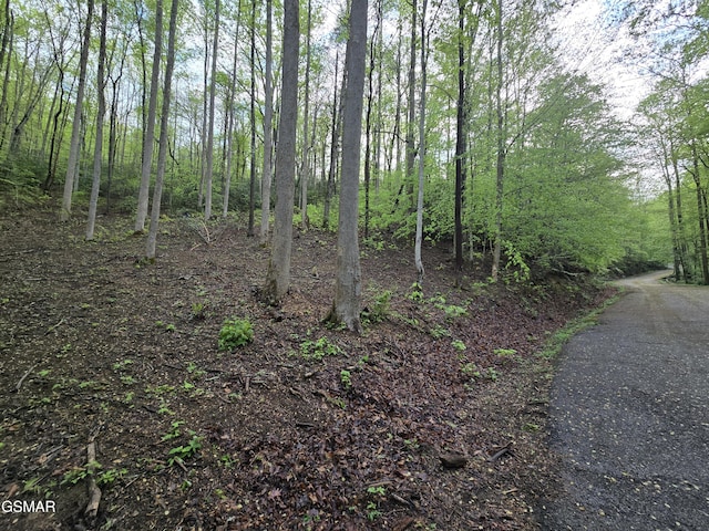 0 Cara Way, Cosby, TN 37722