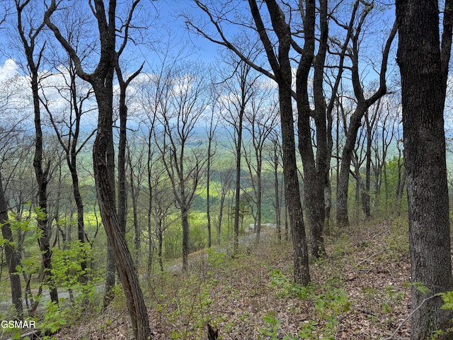 view of local wilderness featuring a view of trees