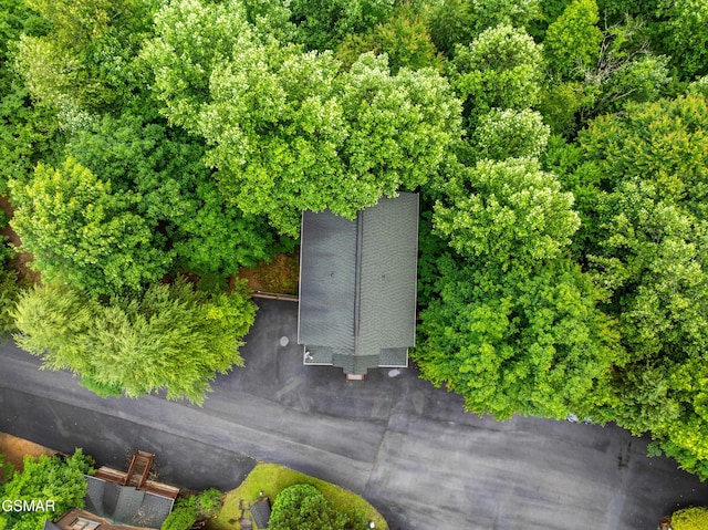 4535 Holly Forest Way, Sevierville, TN 37876 - photo 41