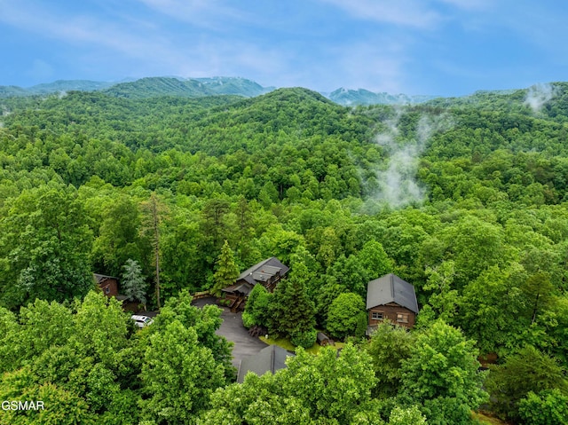 4535 Holly Forest Way, Sevierville, TN 37876 - photo 39