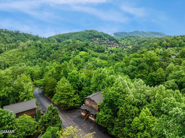 4535 Holly Forest Way, Sevierville, TN 37876 - photo 37