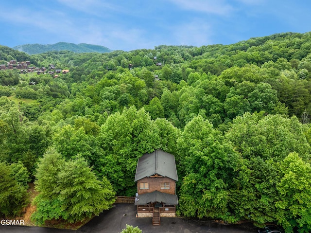 4535 Holly Forest Way, Sevierville, TN 37876 - photo 38